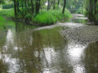 Confluence de la Leysse