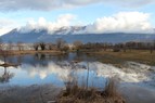 Etang des Aigrettes